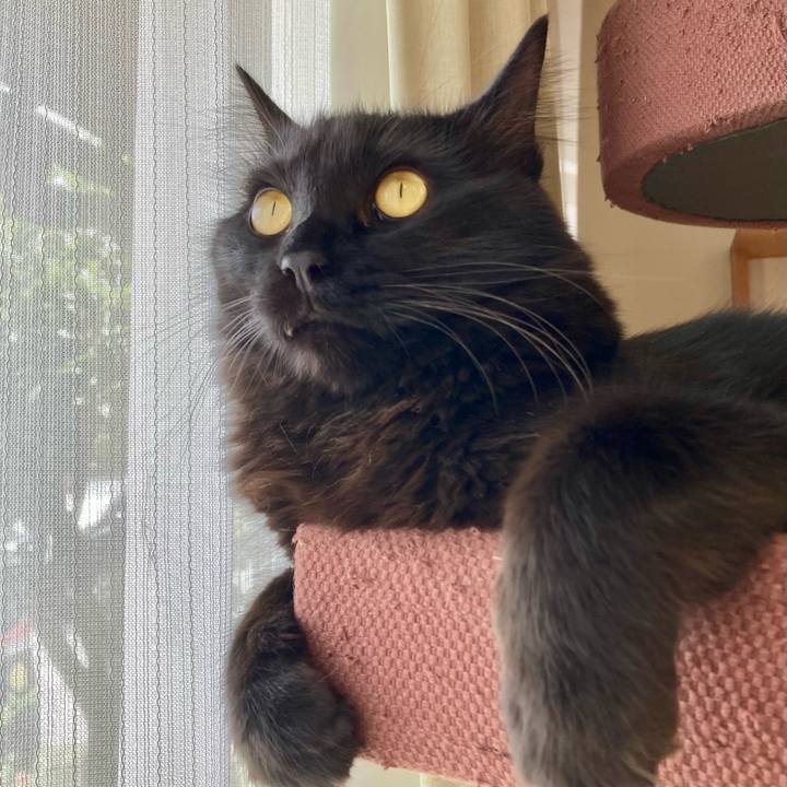 7bf8445f d77d 476e 9103 fdf1c5e2beed 1722149830910