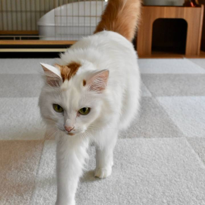 7bf84935 9183 4f84 afa9 91d2f2ca03b6 1772848800670