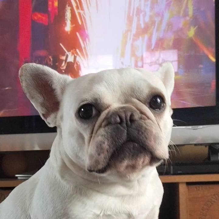 7bf85abd b469 4ce9 8861 8e1050cdecfb 1688355735447