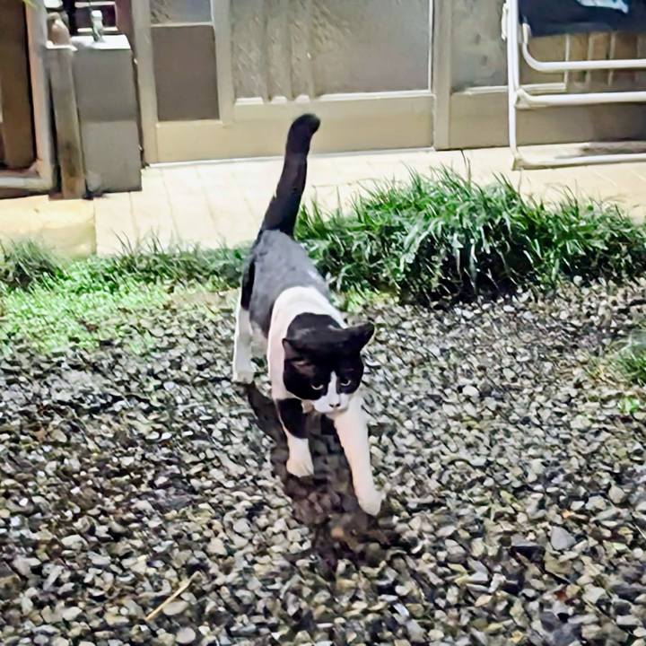 7bf89d86 fc39 46ef b6d9 a186dc32ad09 1757936742560