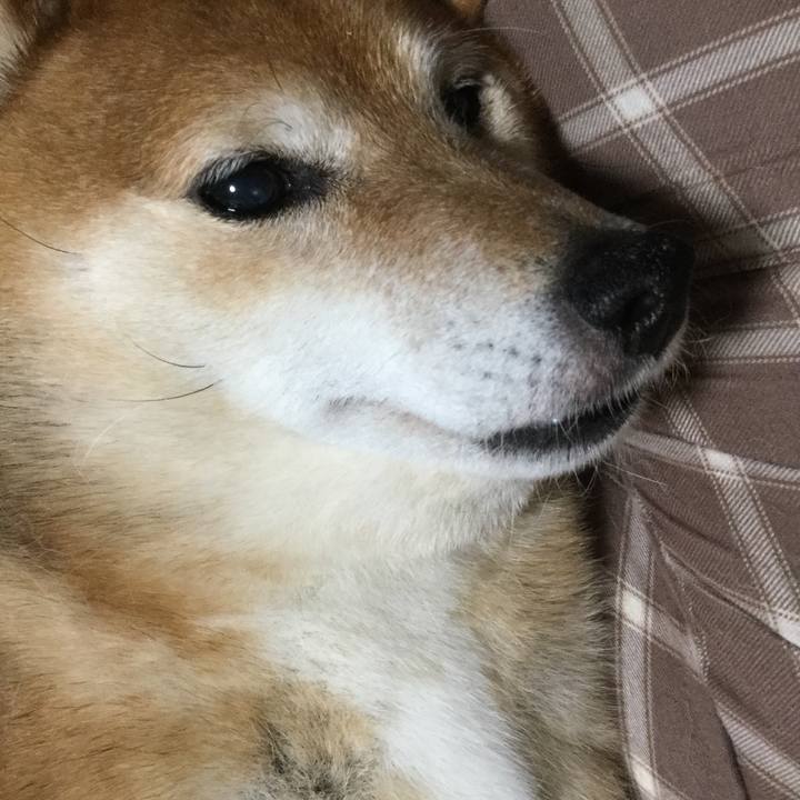 7bf89fa5 65aa 4764 8da5 6072ba83e9d9 1586698319129