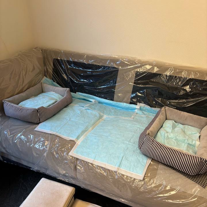 7bf8a665 c683 401d 95f5 12552e8600dc 1760439816193