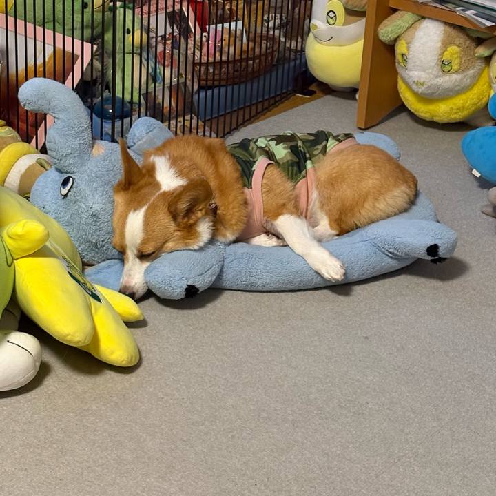 7bf8d478 0685 4dc3 8604 f629db3dff9b 1771506173416