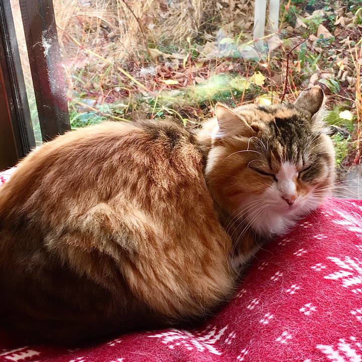 7bf8eb42 f331 44c9 a837 35b2320b9dc7 1574670774071