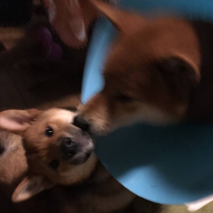 7bf92a07 8191 4194 a9bb e2b79584e1d7 1512205737489