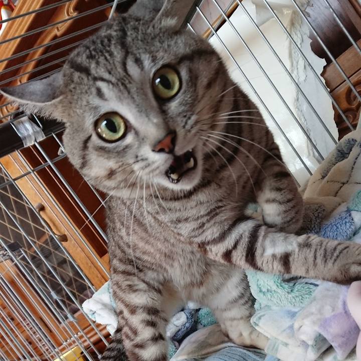 7bf935fc eaff 46df 97a8 d67995f5160c 1558565329704