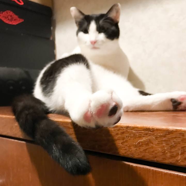 7bf93a95 27ca 480b bb6d 2f1b7a763010 1523759328592