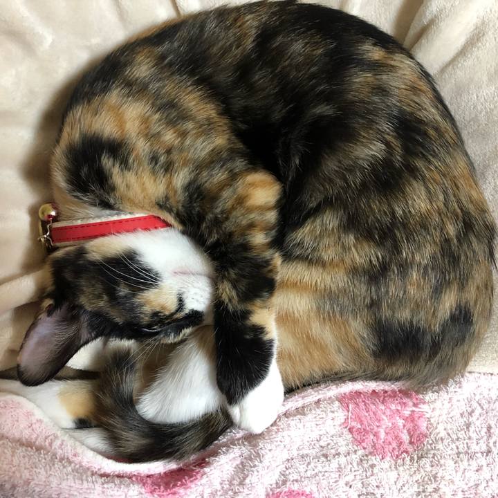 7bf94b5f f8ec 4b94 8d51 001effd12a93 1548511019362