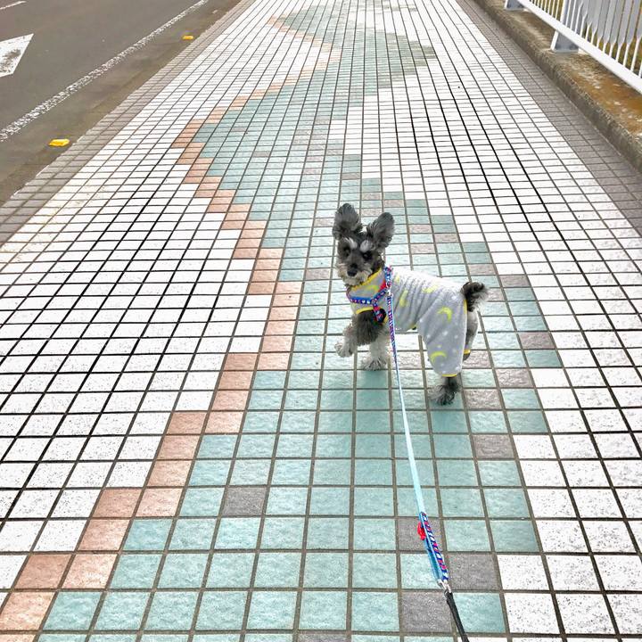 7bf9b63a c525 4ea4 94f7 a2da0f1d50b6 1549508115851