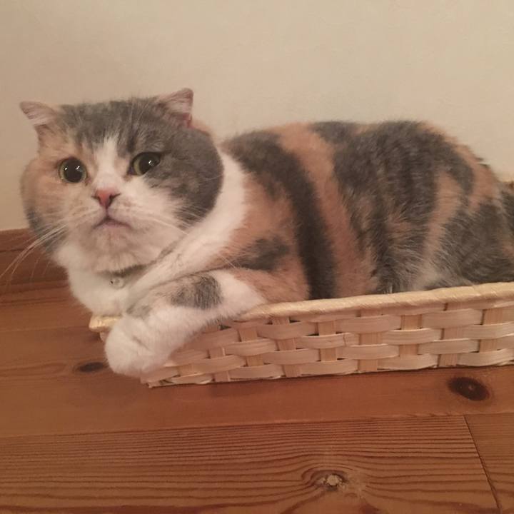 7bf9f97b 38ca 489c bbaa 8a13219eb388 1557028816747