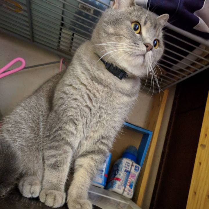 7bfa1990 e742 4d96 8a5f 618576cd64be 1529890321995