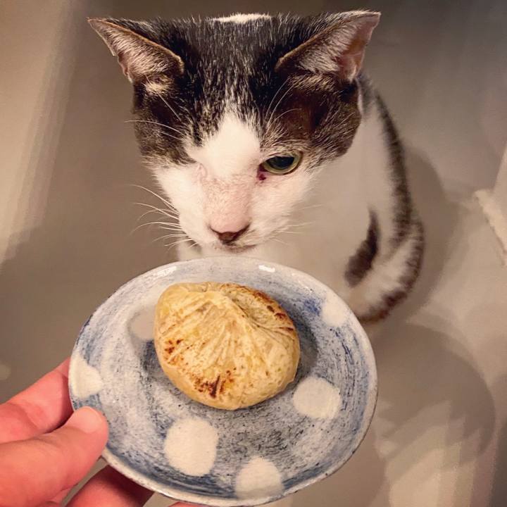 7bfa68a4 42db 434a a7d9 91daffcd9638 1600519772472