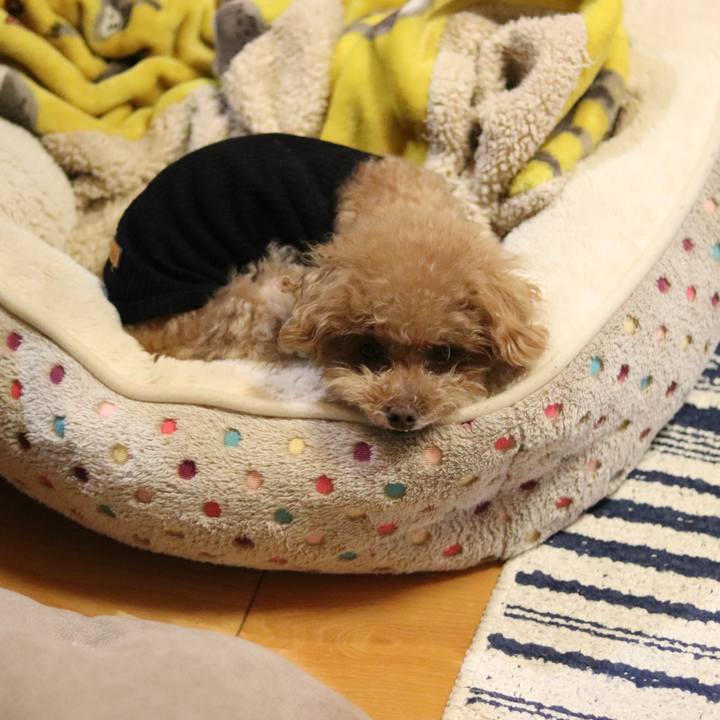 7bfa72d4 f75e 4267 a377 ca6cac427b97 1587471085646