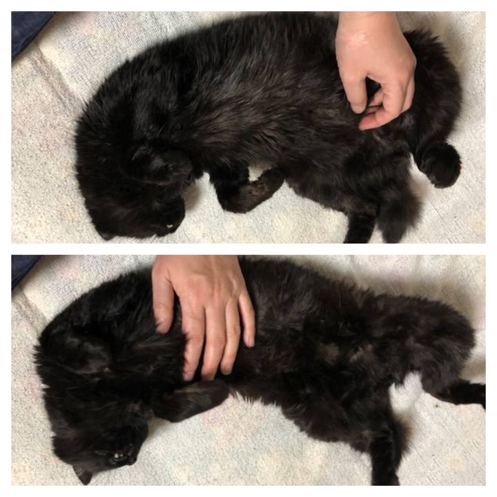 7bfa76d5 c487 4952 866d 62518309ecb6 1620211436934