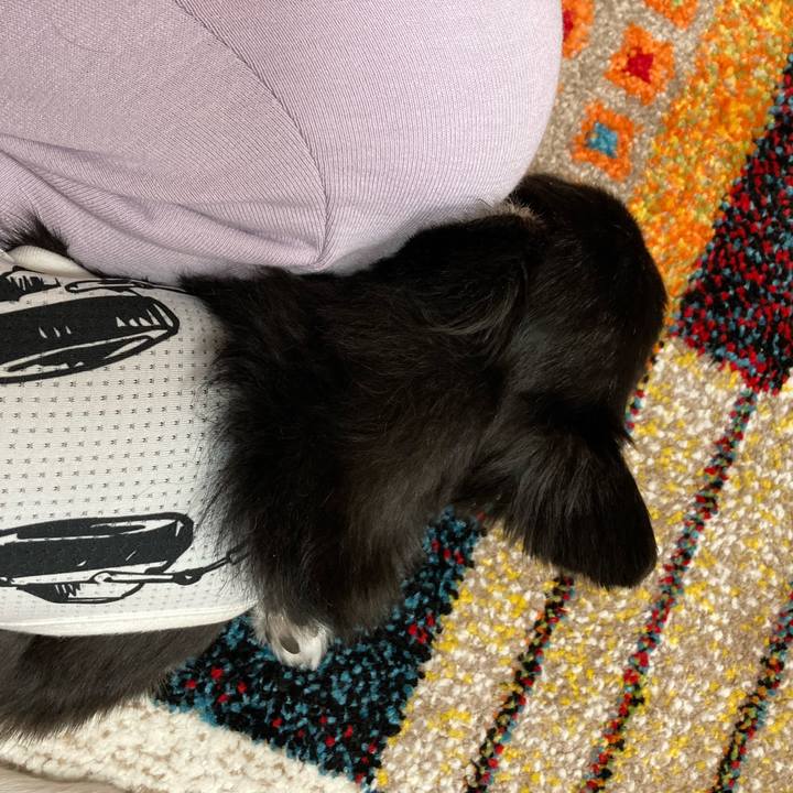 7bfaa557 a84a 4aa1 b1fd ddc483620813 1683388193378