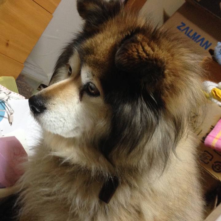 7bfadef7 0bd7 416b b213 6f3c2aee7909 1583816695445