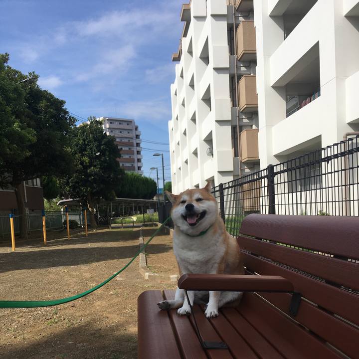 7bfb15a2 354c 44a2 a12d 60eca151da2c 1600735791196