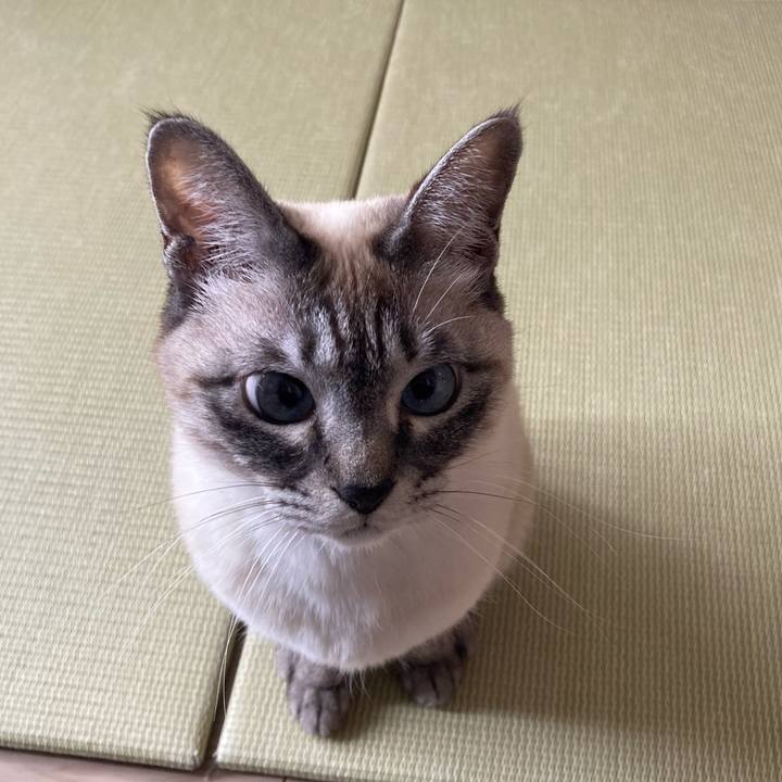 7bfb39d8 902b 4ad2 916a 65a6c869c639 1742007108256