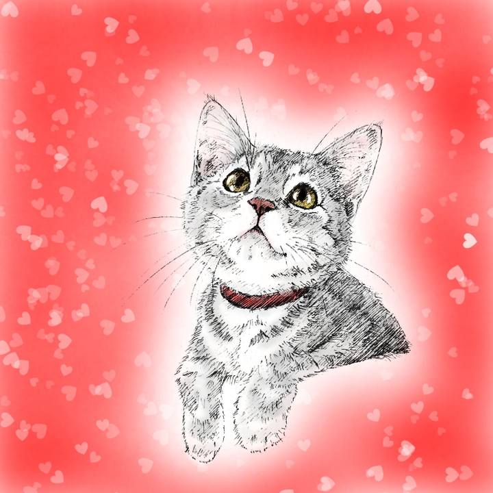 7bfb45b3 8003 41dd ac33 d0ee0267ec26 1606741789541