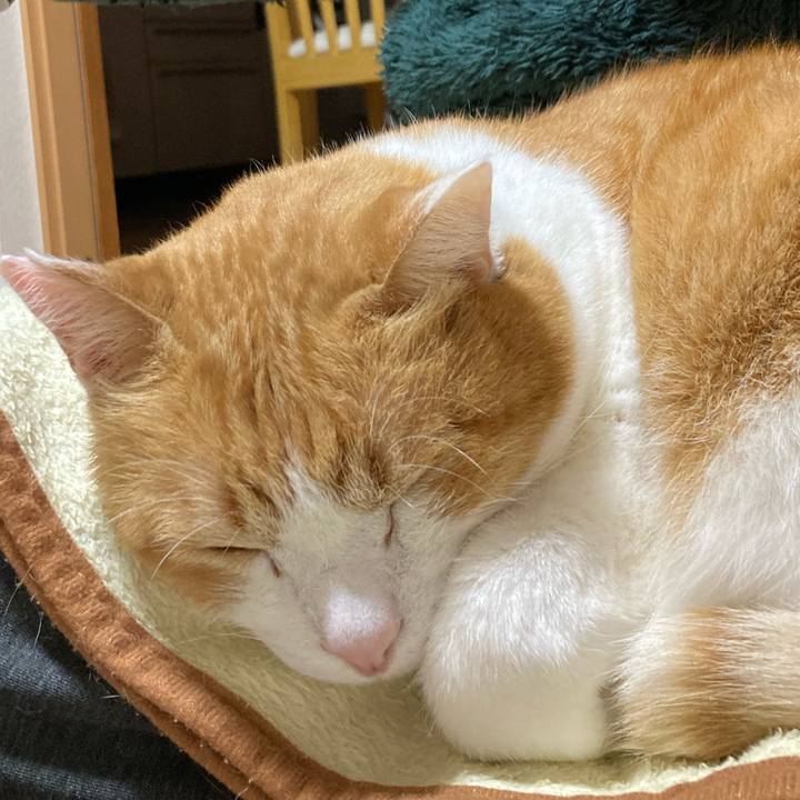 7bfb602f 807b 4e1d 9f3c 3c230650e920 1767617567691