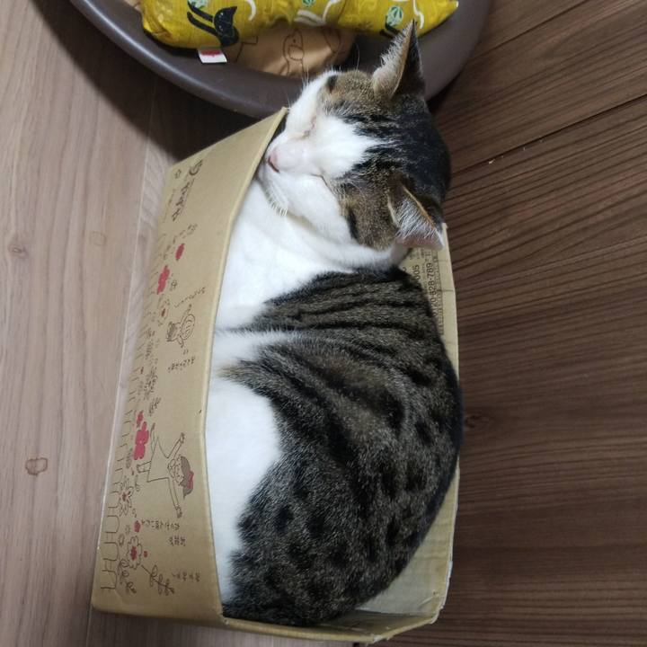 7bfb97a8 4587 48a6 8c6e 8e65b58d4e78 1593553192891