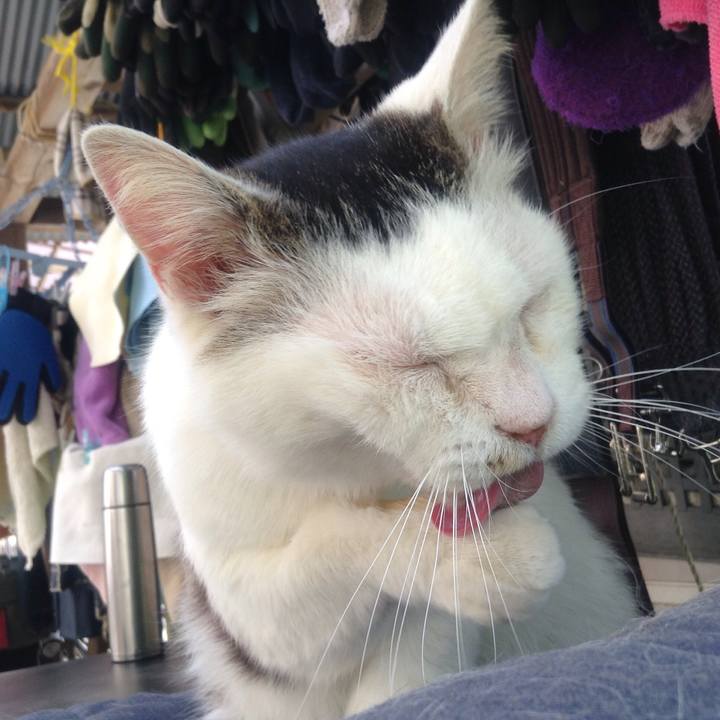 7bfba05d e5bf 4b98 b93f db20746076ac 1558010234439