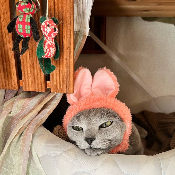 7bfba476 c167 4dda ba77 a72f54245569 1675764320087