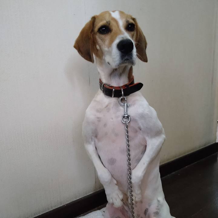 7bfbb911 8949 44b0 acf9 e9e330bbb1fb 1633521489134