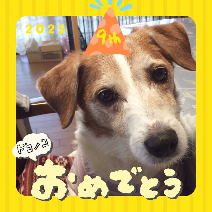 7bfbbeda 4d69 4a20 a038 d91b81084376 1749098771927