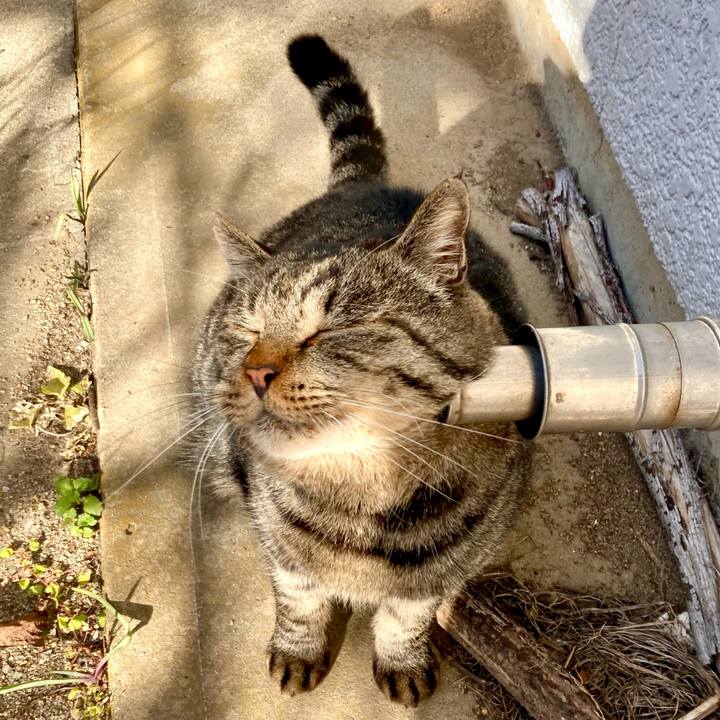 7bfbc0fb 8ae6 4bd8 84f6 5ac9e5764462 1672449389400