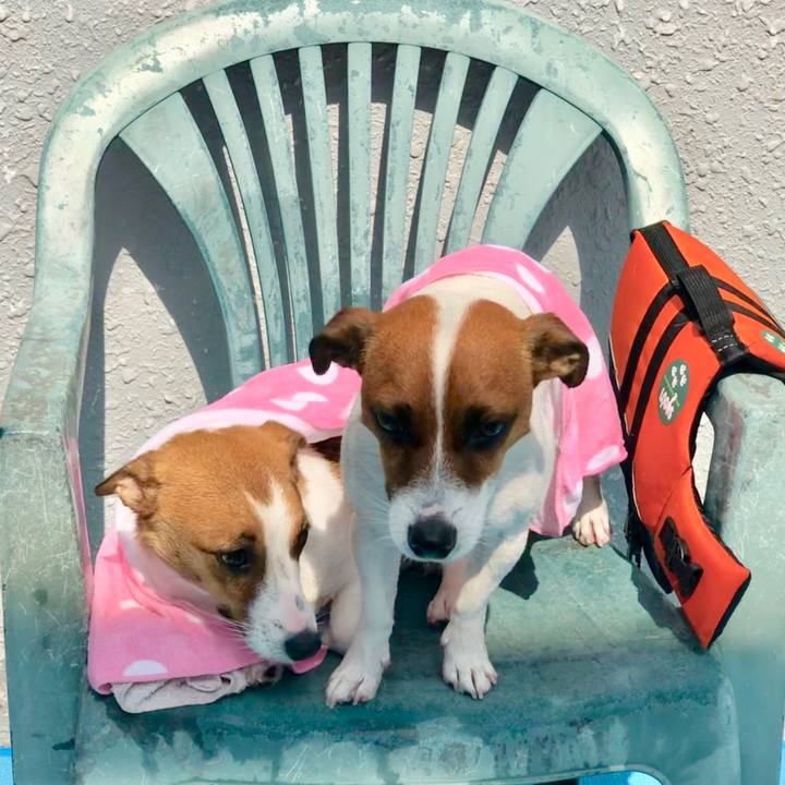 7bfbe861 c35f 4261 ab8a 7a83c2a209f4 1566738107833