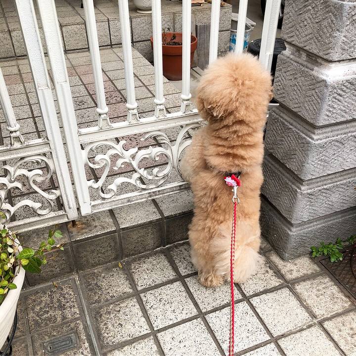 7bfc06a0 37d5 4f88 b7ae bdcc2feb2ac6 1523433827704