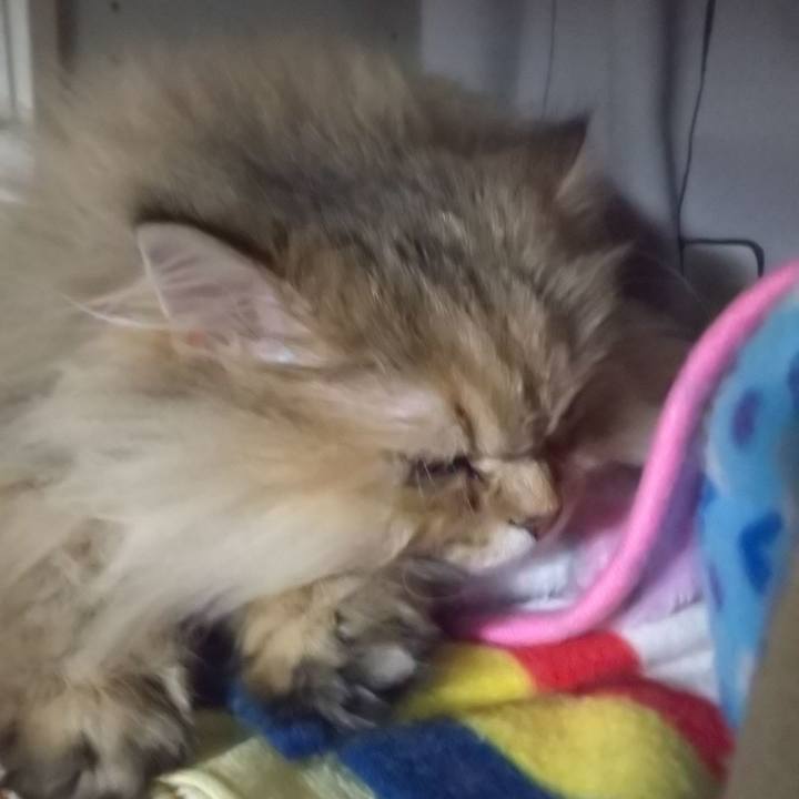 7bfc1ed8 0268 4419 a9d2 2e87ebffe7e3 1613305101023