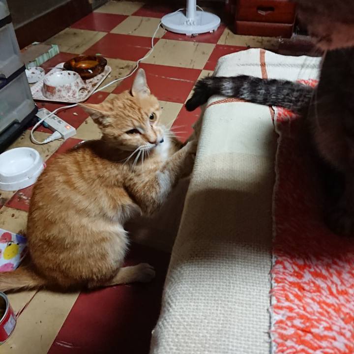 7bfc1fd2 c1fd 42f1 a5bd b61c59ba23e6 1560282602561