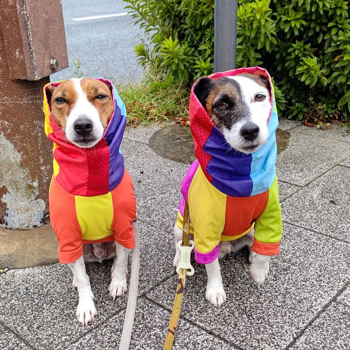 7bfc31cc e9ee 4984 abc8 4c3a7e83b60b 1635202094558