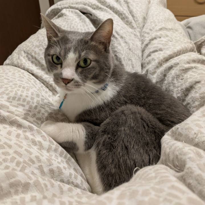 7bfc3cc1 c902 46f9 afb9 3c74a01f7850 1734440658433