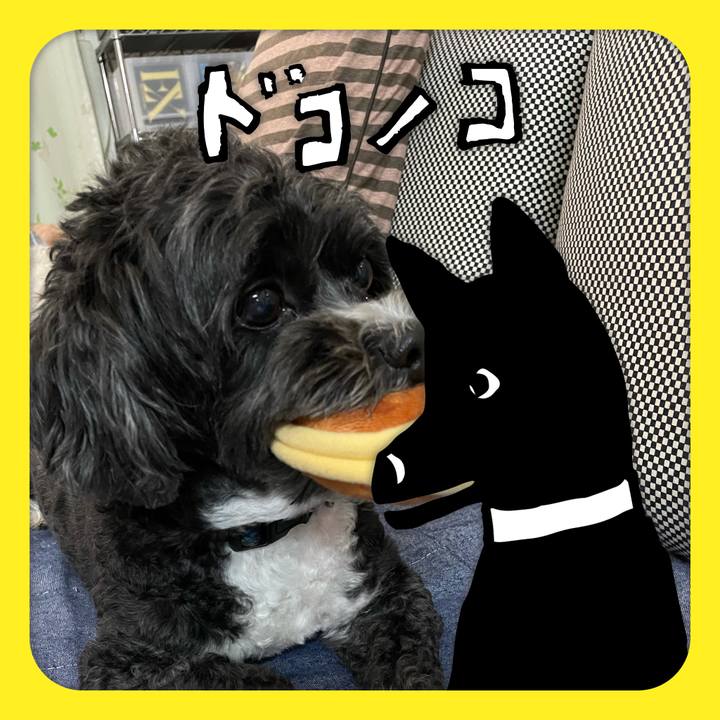 7bfc6c1f 4f66 4847 9652 32ffbefa57eb 1623676465114