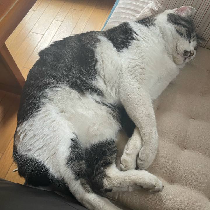 7bfc82f1 07c3 4ed2 a2d7 7e1fba641eae 1675835717229