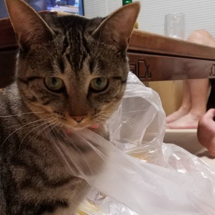 7bfc89d7 99b8 4327 8799 68c022d4fff3 1687647504566