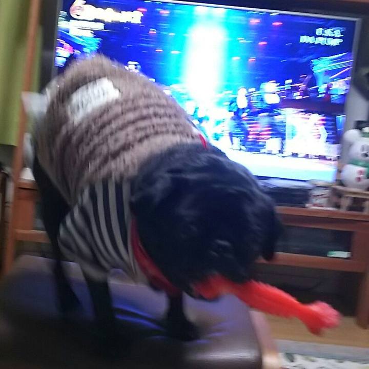 7bfcbe8b c91b 4b22 8d20 ea441c7e7274 1546177475136