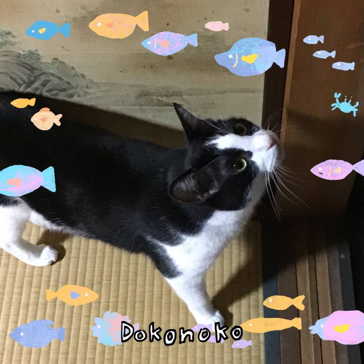 7bfcc764 db06 419b a10f 38a308de32cd 1755080736074