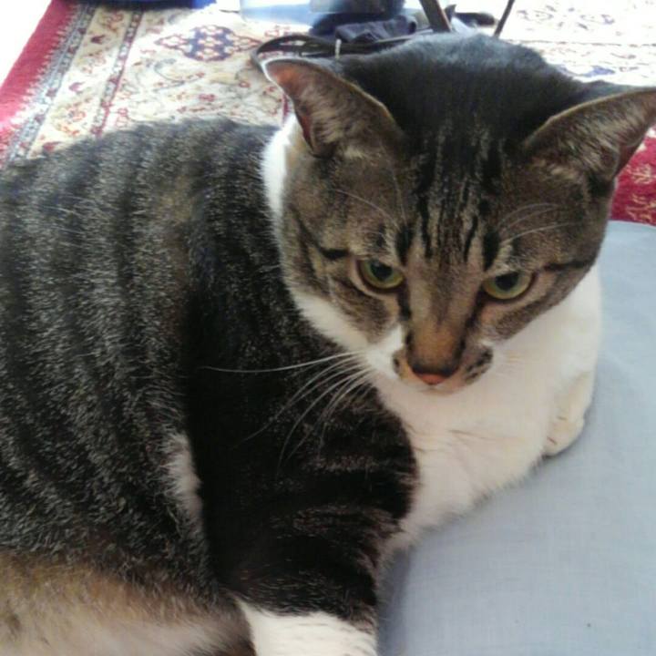 7bfcf354 661b 4c15 a58d 990d5b1415a8 1510842236901