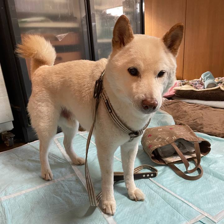 7bfcfa07 43be 44f5 a4e6 bb48baf22db6 1635320862699