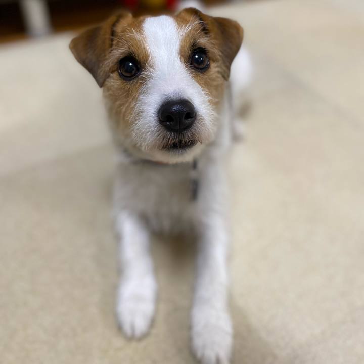 7bfd0198 f5fe 4ccc a46e 8babded7a37b 1711285740106