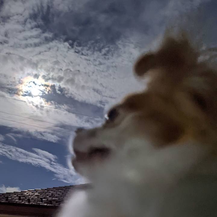 7bfd1444 d955 4ee6 a804 f909e36d0aa1 1660225299524