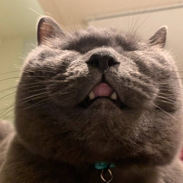 7bfd1cf4 9ecd 40cb 9152 94e51ca024b5 1704808434818