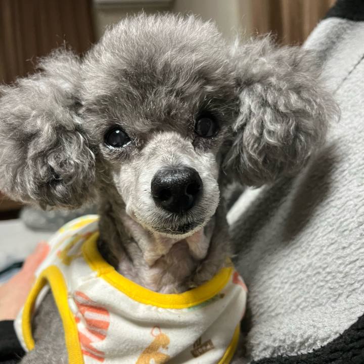 7bfd2530 be02 41b8 92cd cc11c66ec496 1707909731876