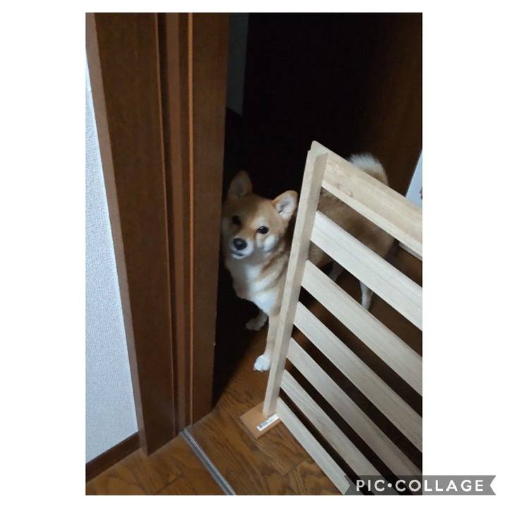 7bfd2727 cb99 48d1 9251 877650fc8c21 1664446024753