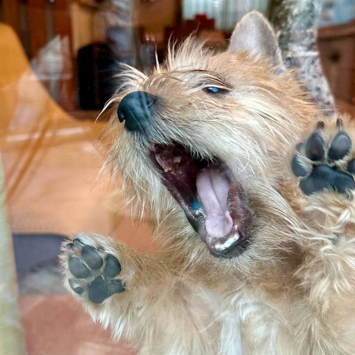 7bfd2c3b 8829 47a9 84a7 1e12889de56f 1707079969050