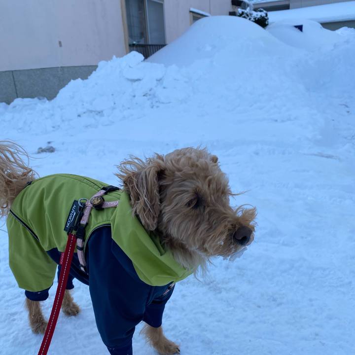 7bfd34ed 2a09 4afa a899 cbe0505a3536 1645744279925